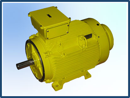 Ampco Zone 2 Generator - Zone 2 Alternator Type ANSI IP56